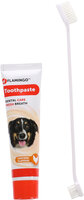 Tandpasta &amp; Tandenborstel Dafra Tube