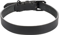 Halsband Leano Zwart