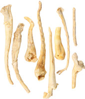 Snack Nature Schaapsstaart