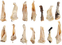Snack Nature Schaapsoor met haar