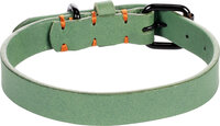 Halsband Leano Groen