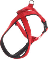 Harnas Cross Abbi Rood