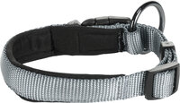 Halsband Abbi Grijs