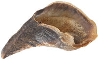 Snack Nature Koeienhoef