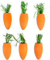 Knabbelhout Cora Oranje
