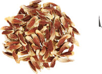 Snack Hapki Konijnenoren met eend
