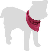 Koelbandana Fresk Inou Roze