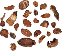 Snack Nature Rundstestikels
