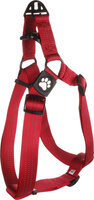 Harnas Step&amp;Go Zorba Rood