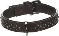 Halsband met sierbeslag Denver Bruin