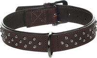 Halsband met sierbeslag Denver Bruin