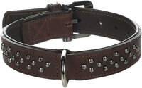 Halsband met sierbeslag Denver Bruin