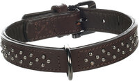 Halsband met sierbeslag Denver Bruin
