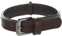 Halsband met sierbeslag Denver Bruin