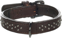 Halsband met sierbeslag Denver Bruin