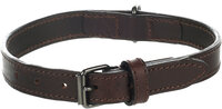 Halsband Denver Bruin