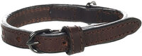 Halsband Denver Bruin