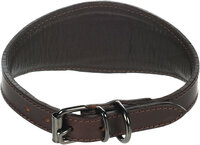 Halsband Windhond Denver Bruin