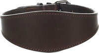 Halsband Windhond Denver Bruin