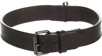 Halsband Denver Bruin