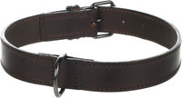 Halsband Denver Bruin