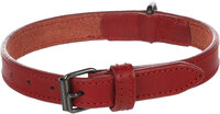 Halsband Denver Rood