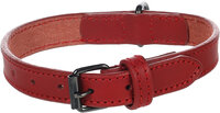 Halsband Denver Rood