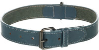 Halsband Denver Blauw