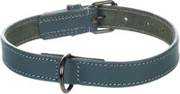Halsband Denver Blauw