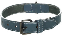Halsband Denver Blauw