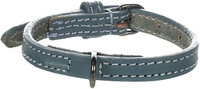 Halsband Denver Blauw