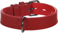 Halsband Gevoerd Breed Denver Rood
