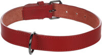 Halsband Denver Rood