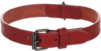 Halsband Denver Rood