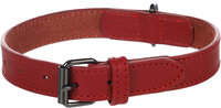 Halsband Denver Rood