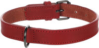 Halsband Denver Rood