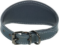 Halsband Windhond Denver Blauw