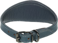 Halsband Windhond Denver Blauw