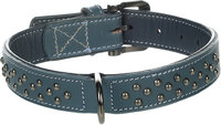 Halsband met sierbeslag Denver Blauw