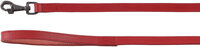 Looplijn Denver Rood
