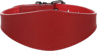 Halsband Windhond Denver Rood