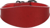 Halsband Windhond Denver Rood