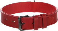 Halsband Gevoerd Breed Denver Rood