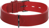 Halsband Gevoerd Breed Denver Rood