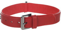 Halsband met sierbeslag Denver Rood