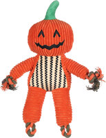 Halloween Speelgoed Bunut Pompoen Oranje