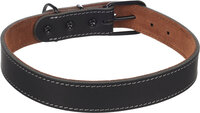 Halsband Montana Zwart
