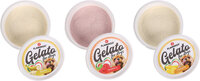 Snack Gelato Ijs met ananas- &amp; banaan- &amp; framboossmaak