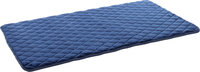 Kussen Weimar Rechthoekig Blauw XL