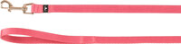 Looplijn Noekie Roze